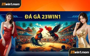 Đá Gà 23WIN1