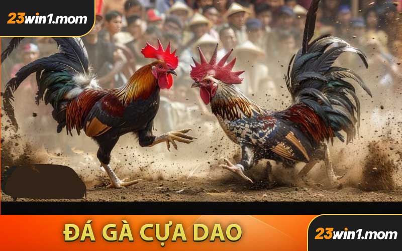 Đá Gà Cựa Dao