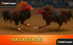 Đá Gà Cựa Sắt