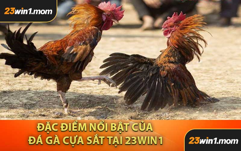 Đặc Điểm Nổi Bật Của Đá Gà Cựa Sắt Tại 23WIN1