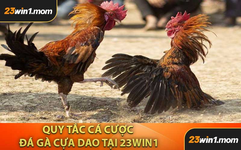 Quy Tắc Cá Cược Đá Gà Cựa Dao Tại 23WIN1