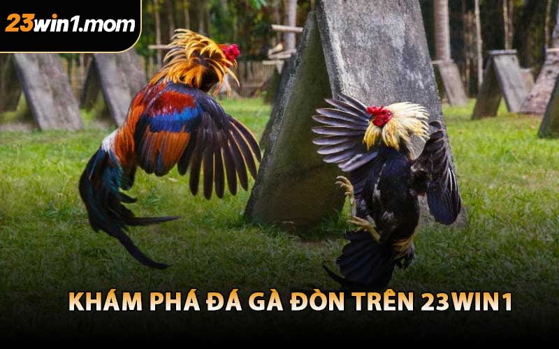 Khám Phá Đá Gà Đòn Trên 23WIN1