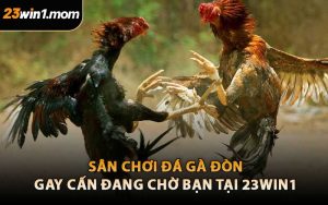 Sân Chơi Đá Gà Đòn Gay Cấn Đang Chờ Bạn Tại 23WIN1