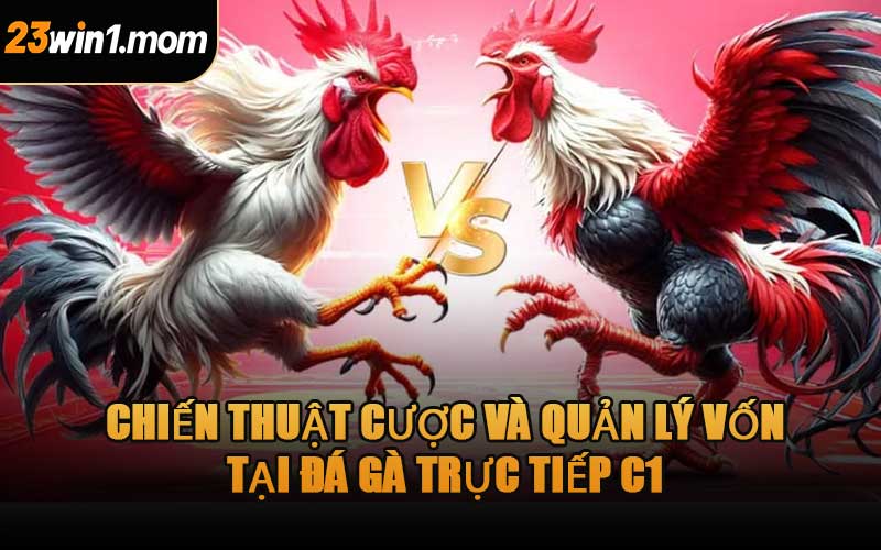 Chiến Thuật Cược Và Quản Lý Vốn Tại Đá Gà Trực Tiếp C1