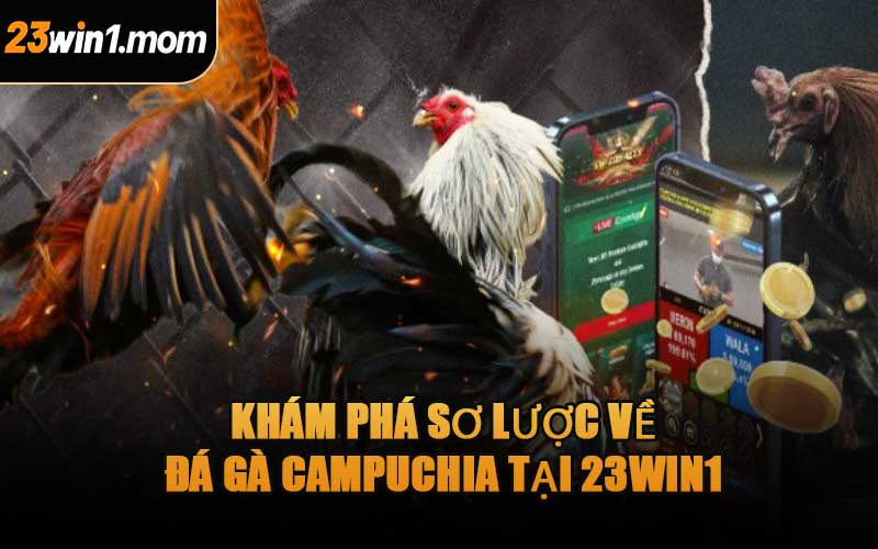 Khám Phá Sơ Lược Về Đá Gà Campuchia Tại 23WIN1