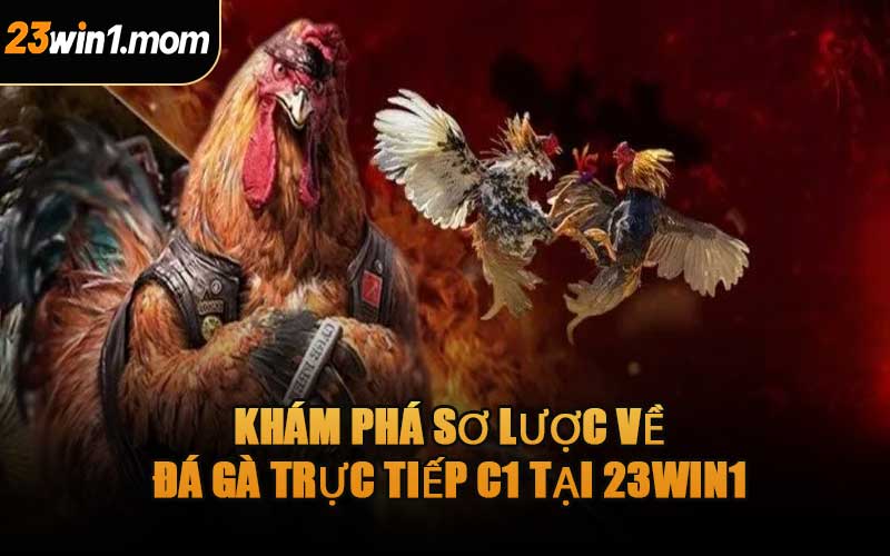 Khám Phá Sơ Lược Về Đá Gà Trực Tiếp C1 Tại 23WIN1