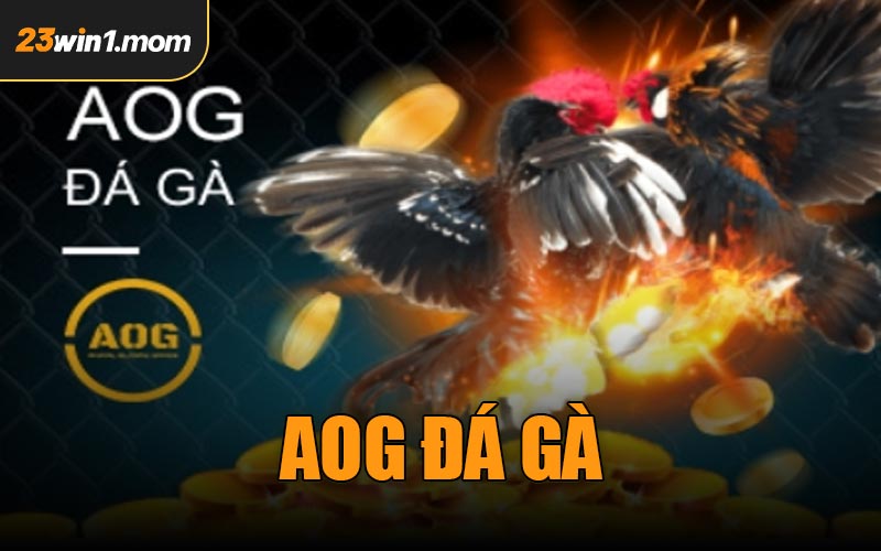 AOG Đá Gà