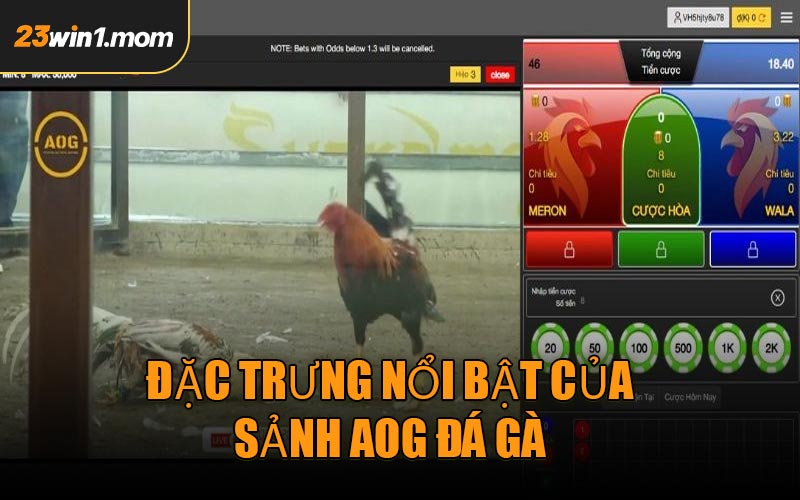 Đặc trưng nổi bật của sảnh AOG Đá Gà