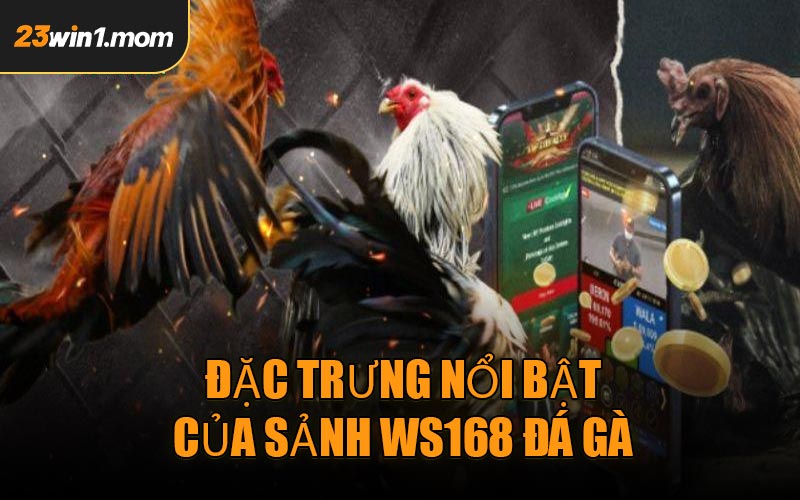 Đặc trưng nổi bật của sảnh WS168 Đá Gà