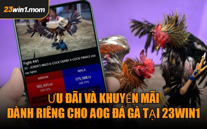 Ưu đãi và khuyến mãi dành riêng cho AOG Đá Gà tại 23WIN1