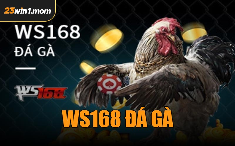 WS168 Đá Gà